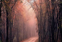 决赛惜败澳大利亚!中国三人篮球男队创亚洲杯最佳战绩中新体坛.