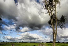 WTT仁川赛!5大世界亚军出局,名将爆冷一轮游,林高远惊险逆转.