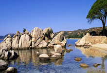 亿万28:全国妇联授予罗诗芳等30名女运动员全国三八红旗手中国艺术体操队等3个集体全国三八红旗集体称号中国体育报.